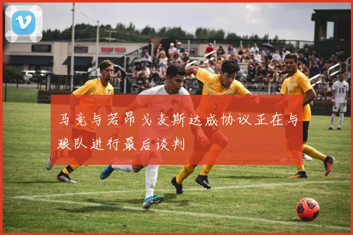 马竞与若昂戈麦斯达成协议正在与狼队进行最后谈判