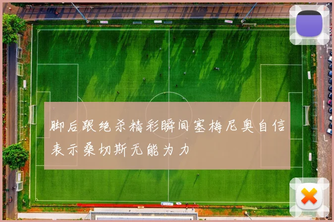 脚后跟绝杀精彩瞬间塞梅尼奥自信表示桑切斯无能为力