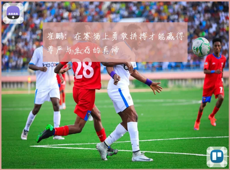 崔鹏：在赛场上勇敢拼搏才能赢得尊严与生存的真谛